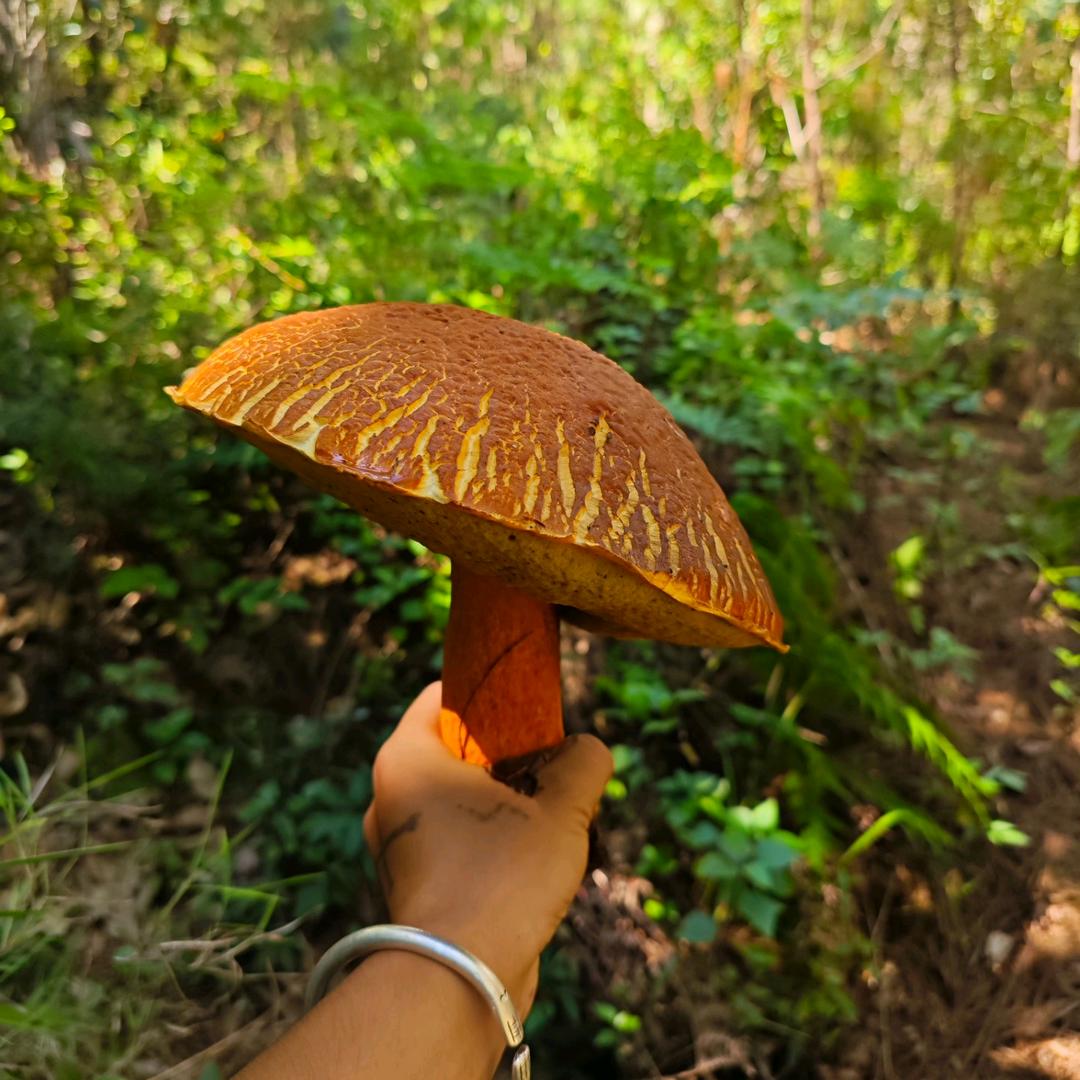 “এ᭄共清欢ོꦿృ༊”