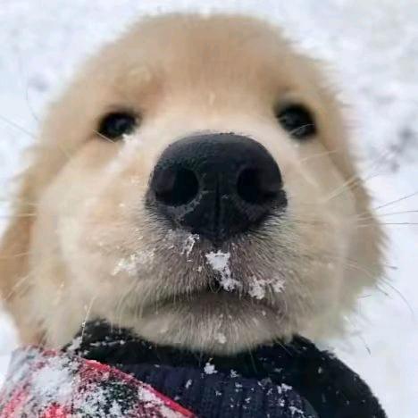 皖