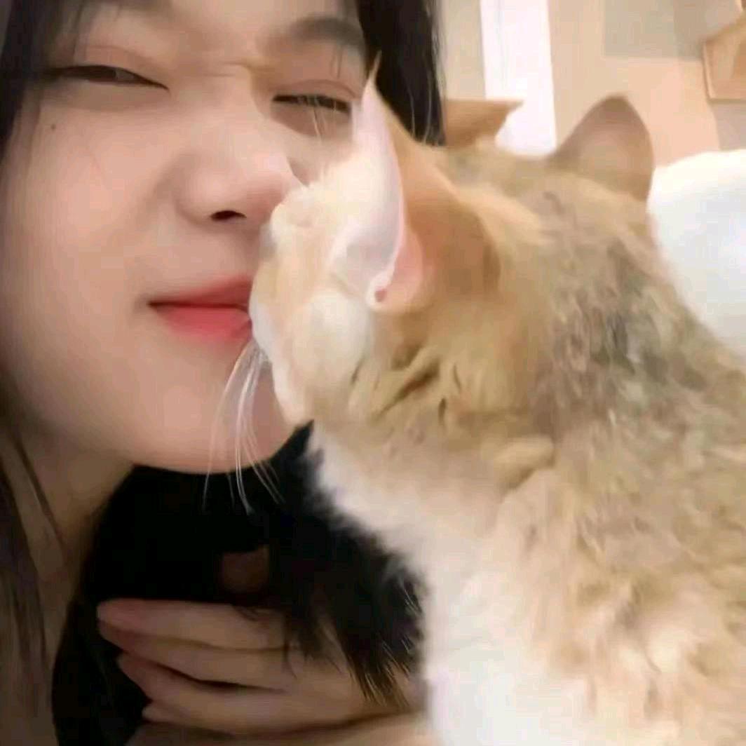 失眠大小姐