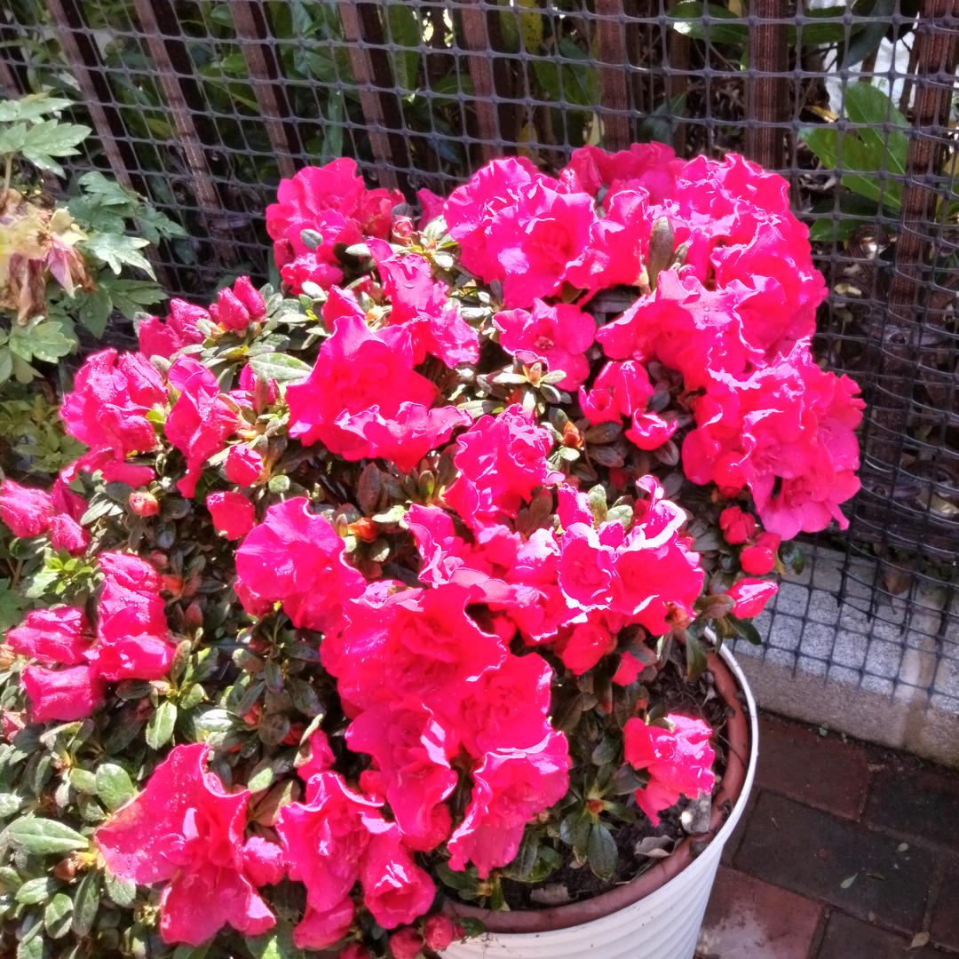 开开心心每一天🐍🐍🐍🐍🐍