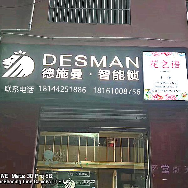 德施曼/唐人街智能锁直销店