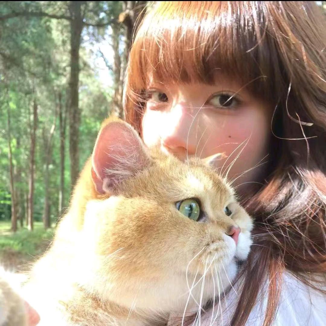 深圳保通检测认证-甜甜