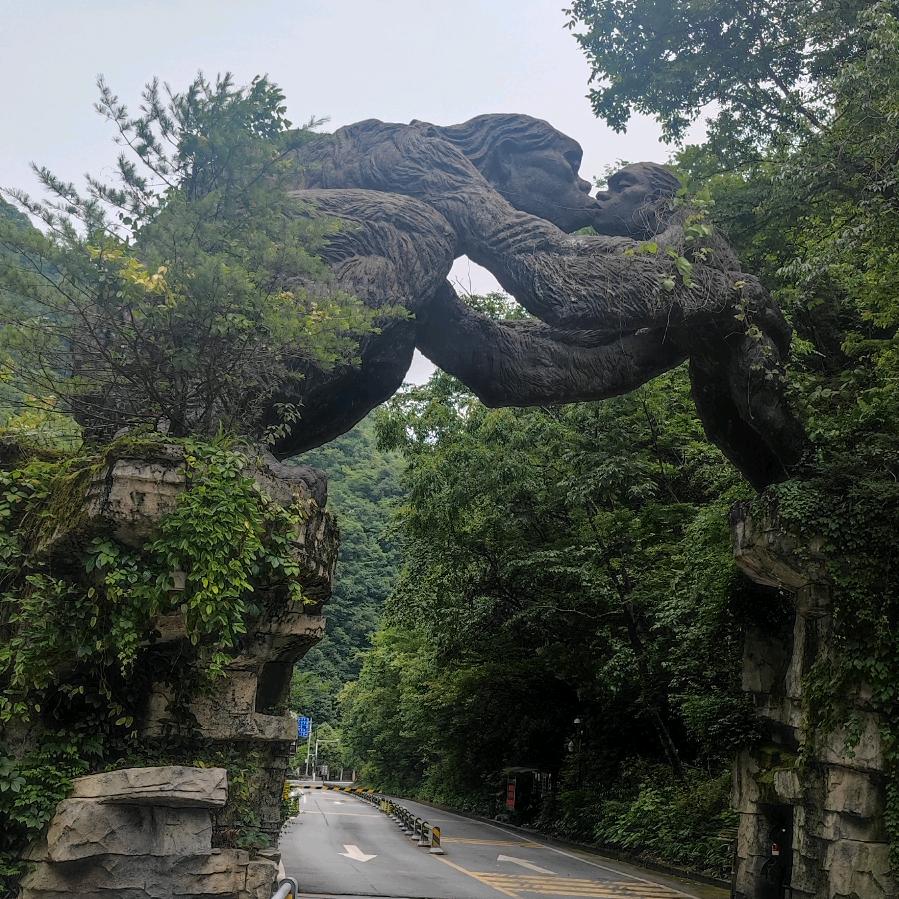 燕燕旅行