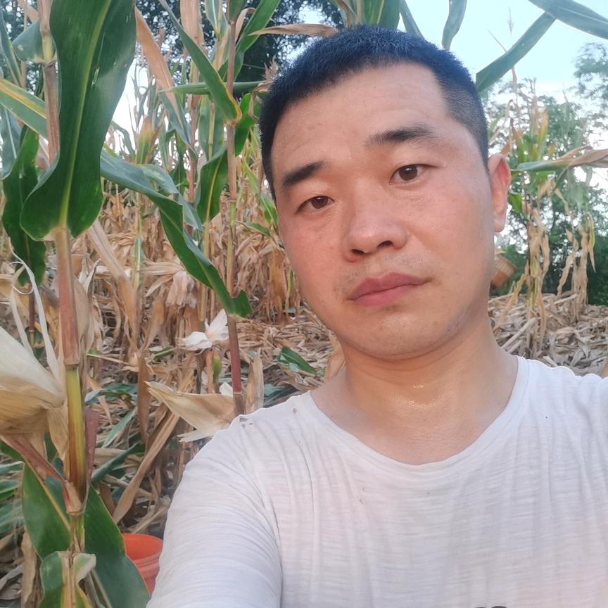 成都仁寿天府机场往返拼车顺风车