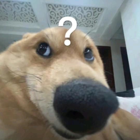 小笼包
