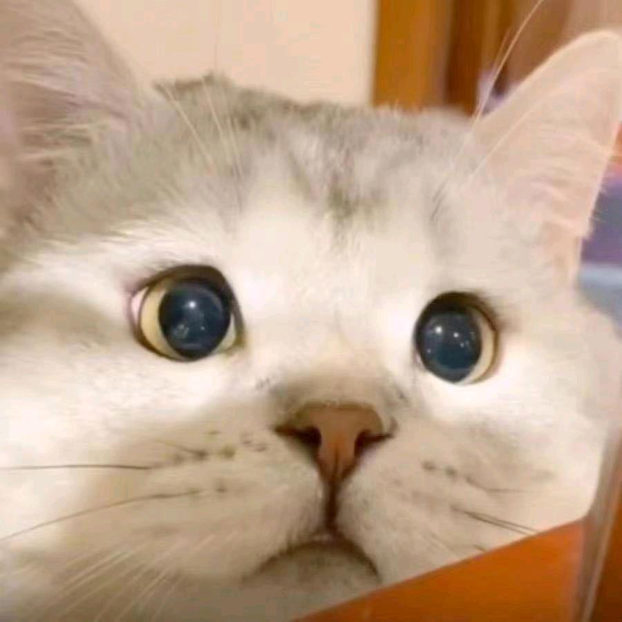 瞿同学想玩抖音