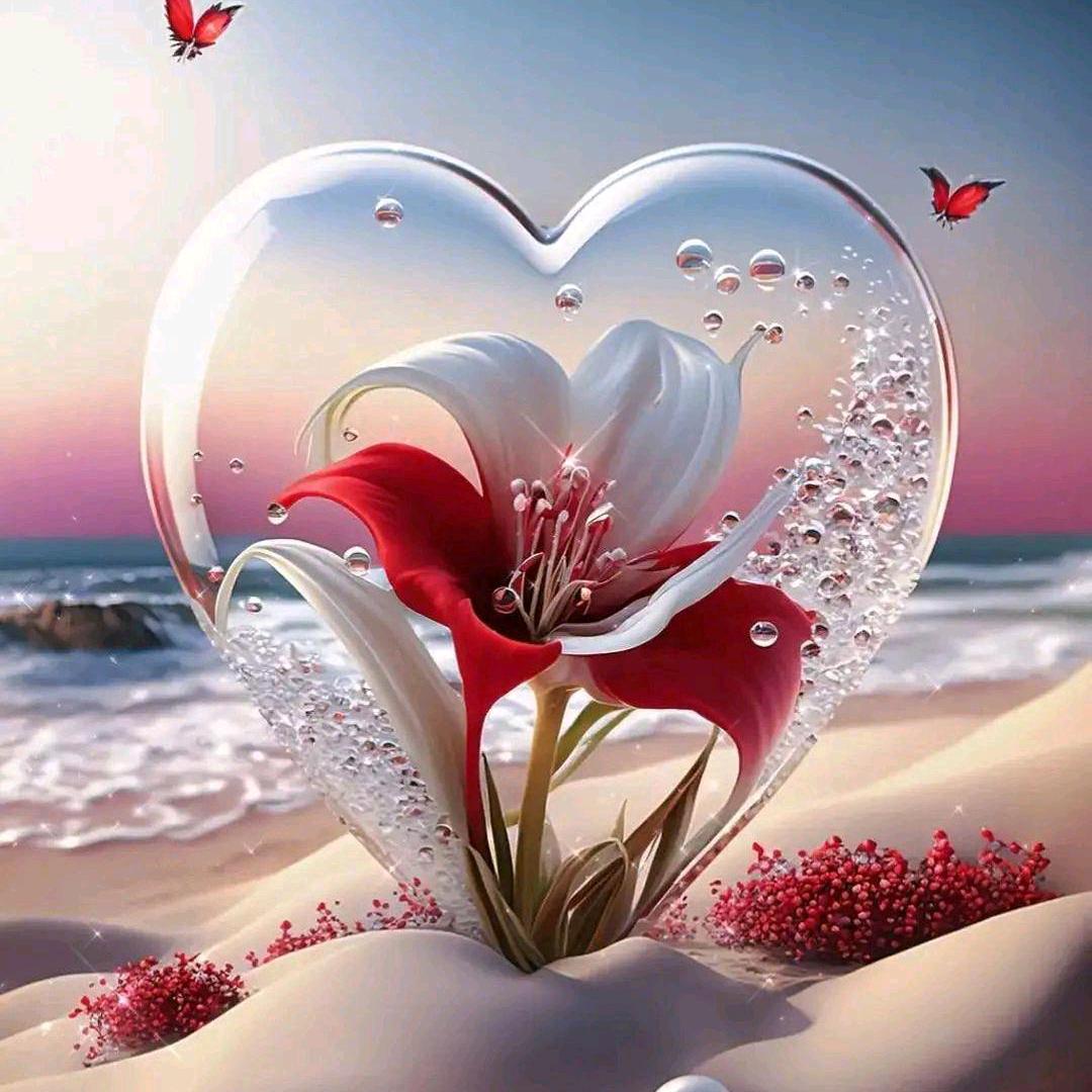 雨后的彩虹_9213