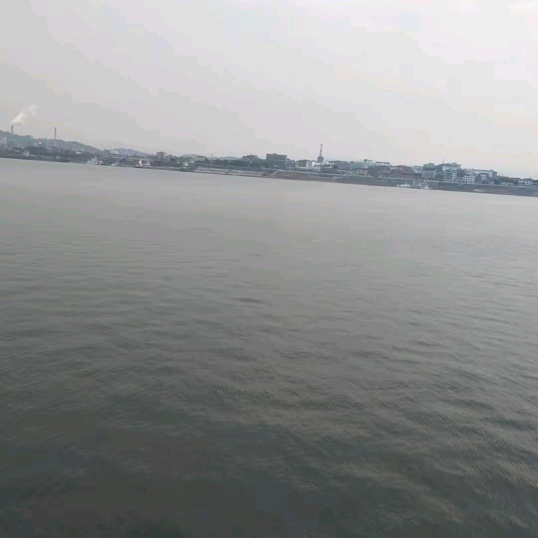张坤