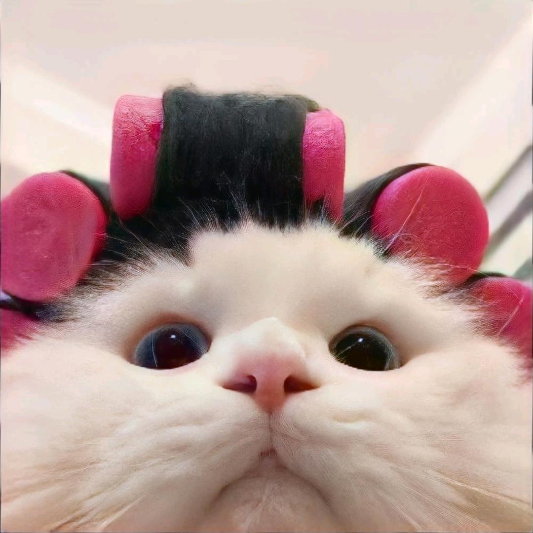 不是一个瘦子