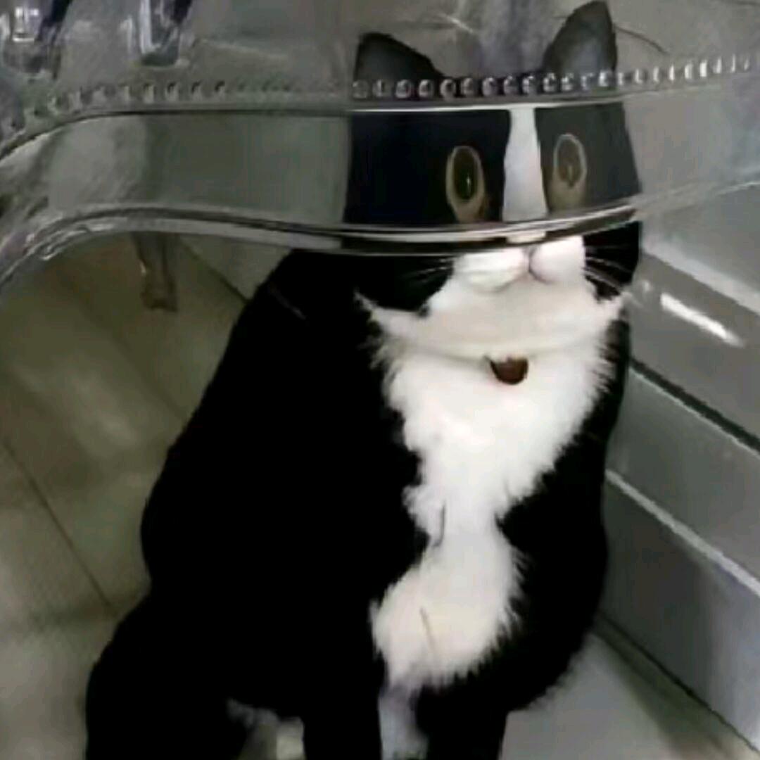 灵