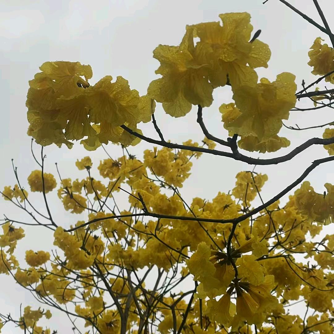 开心快乐每一天