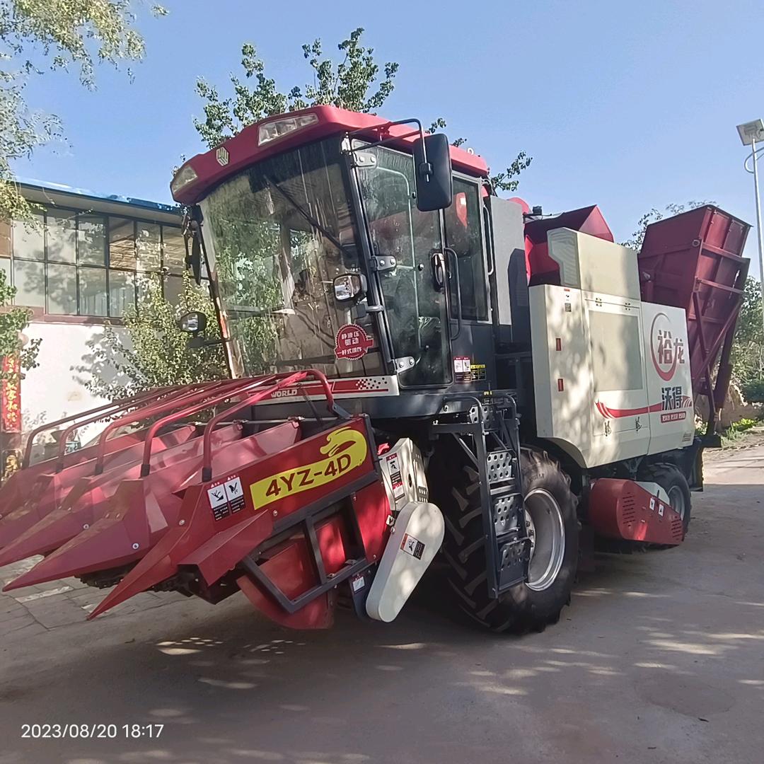 敦煌市悦椿家庭农场