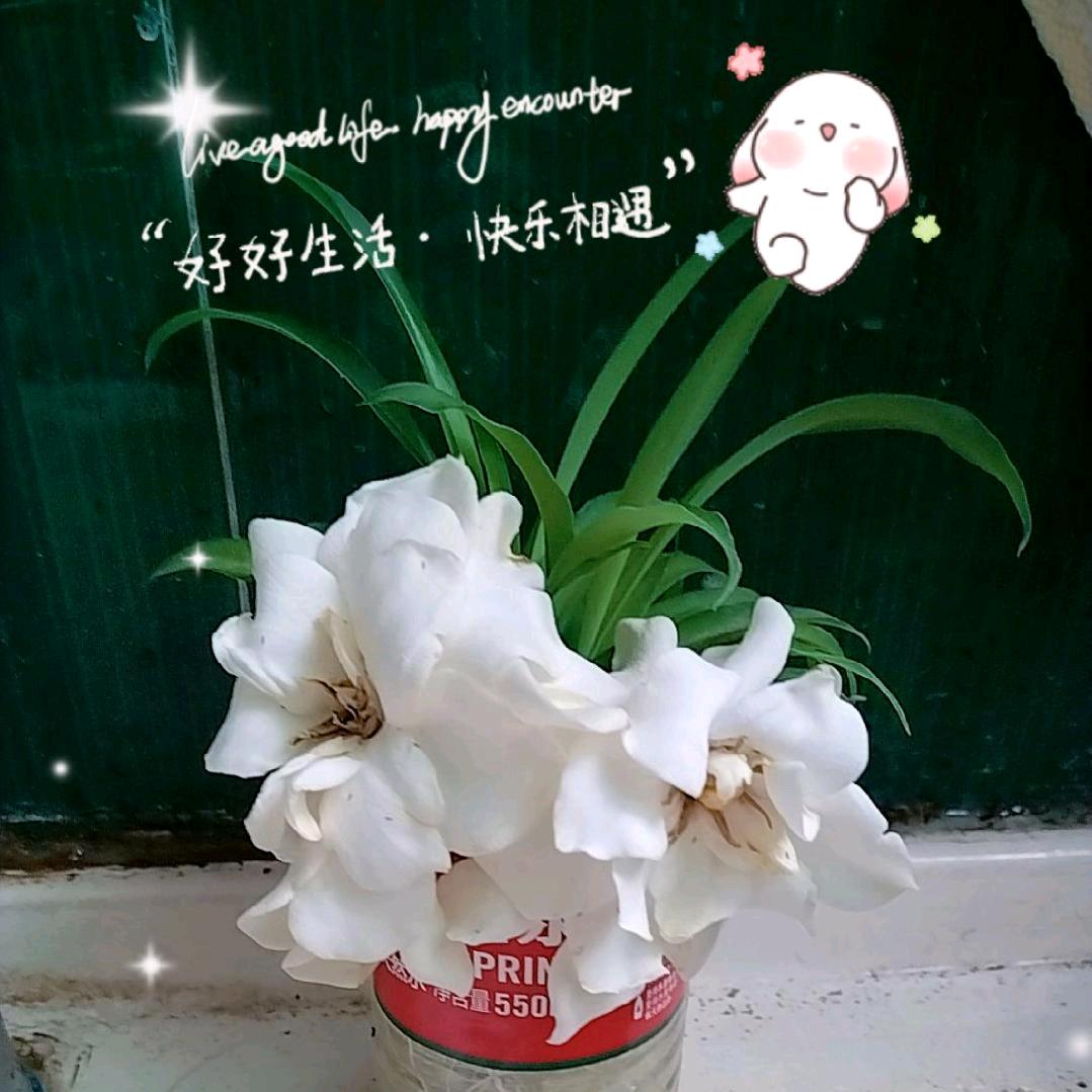 住事归零.亦是重生