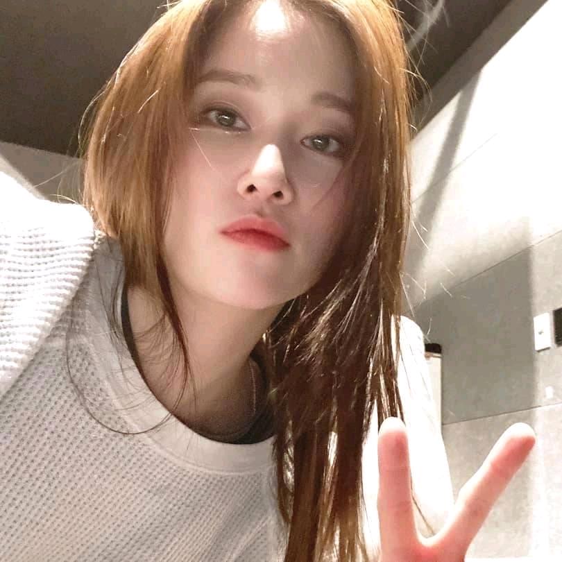 阿茶cy
