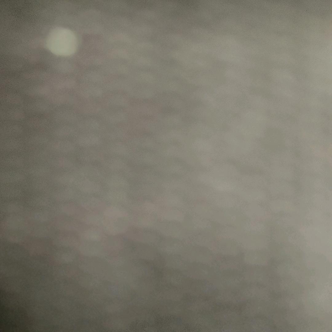 盐城羊奶粉