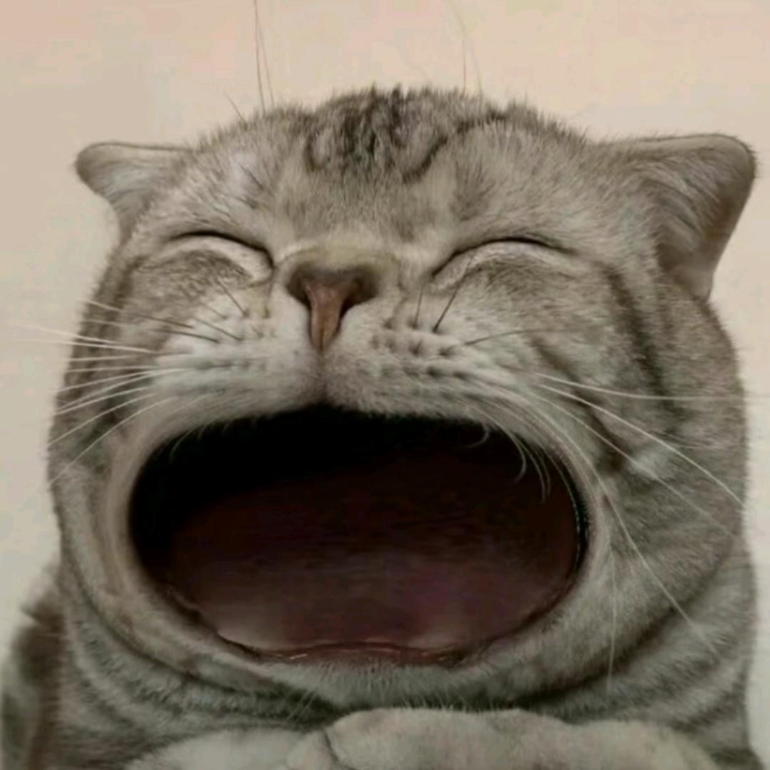 🌈杪春望六🌈