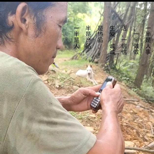 河池深山少数民族放牛老羅玩手机了