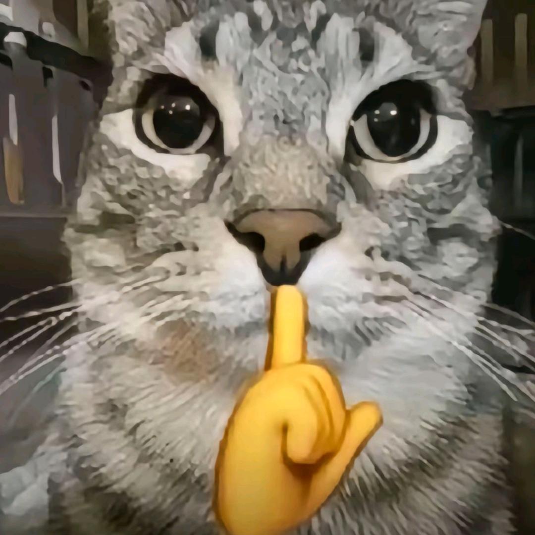 黑色霸王龙.