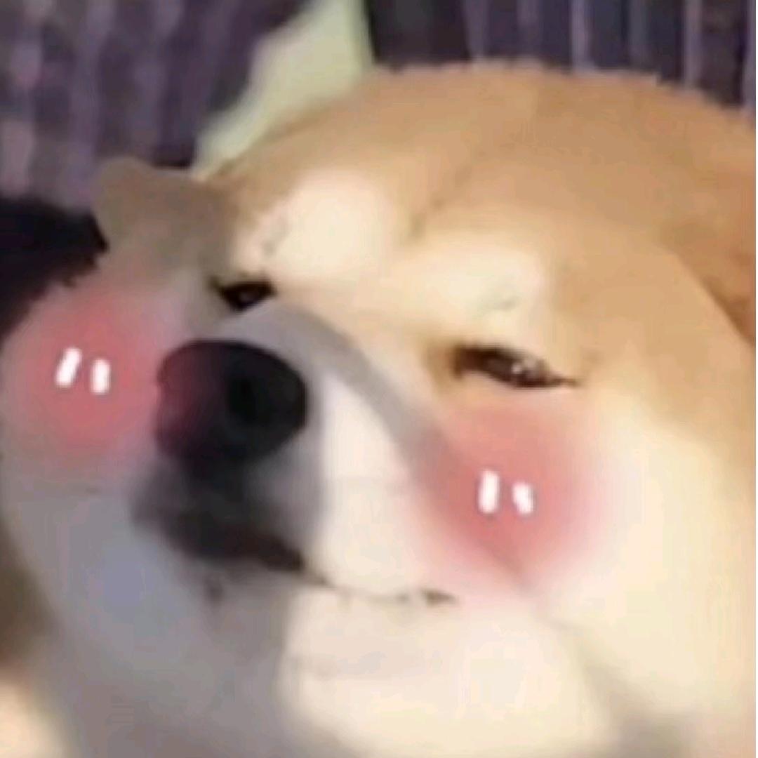 关关雉鸠