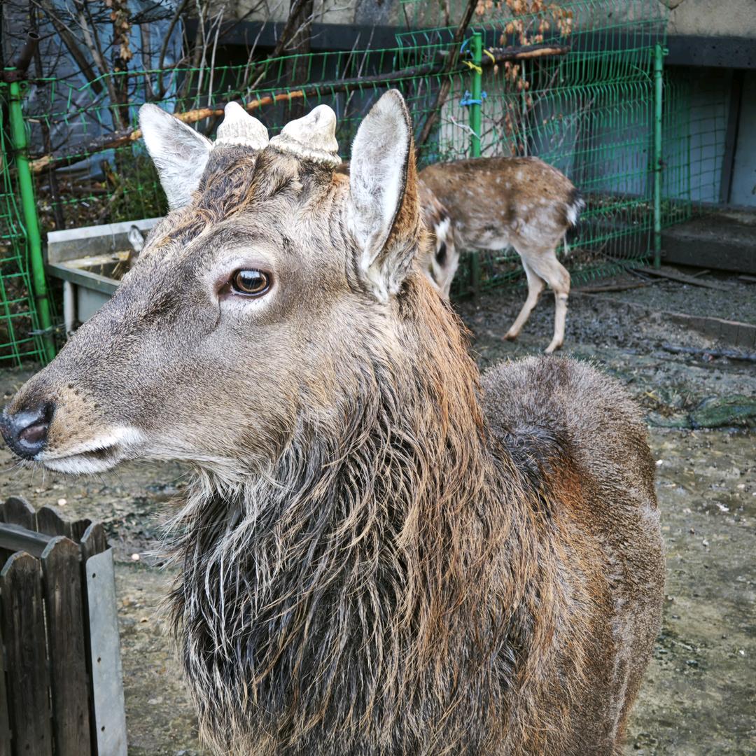 海达电器阜新店陈鹏