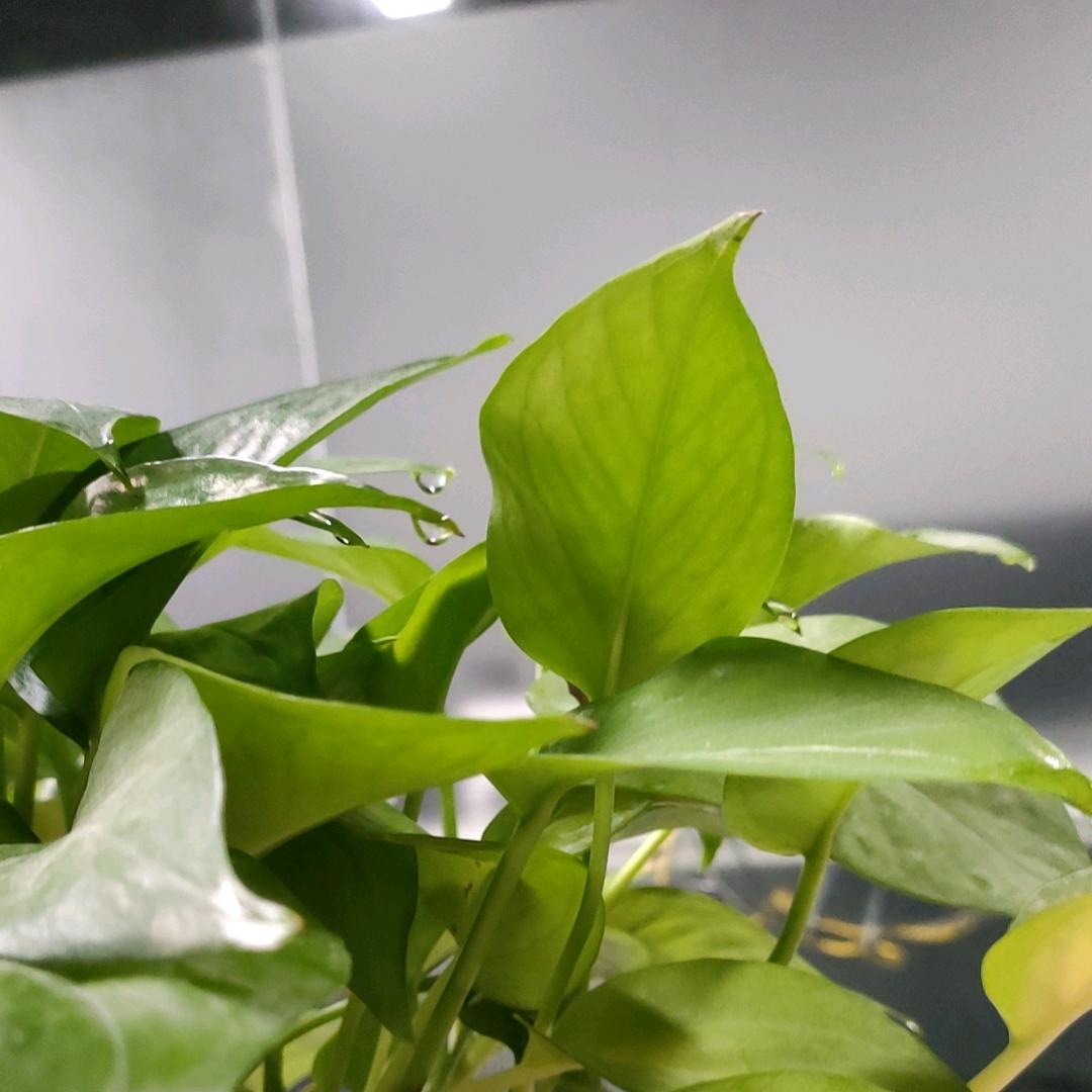 适度锻炼