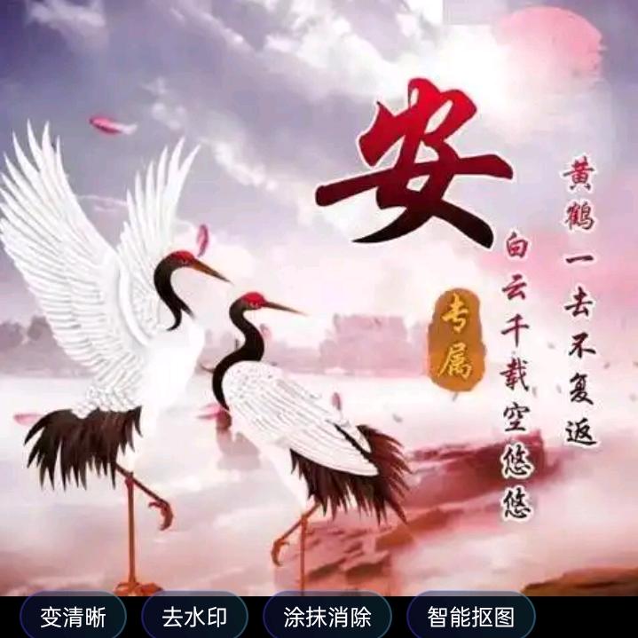 君哥潮品