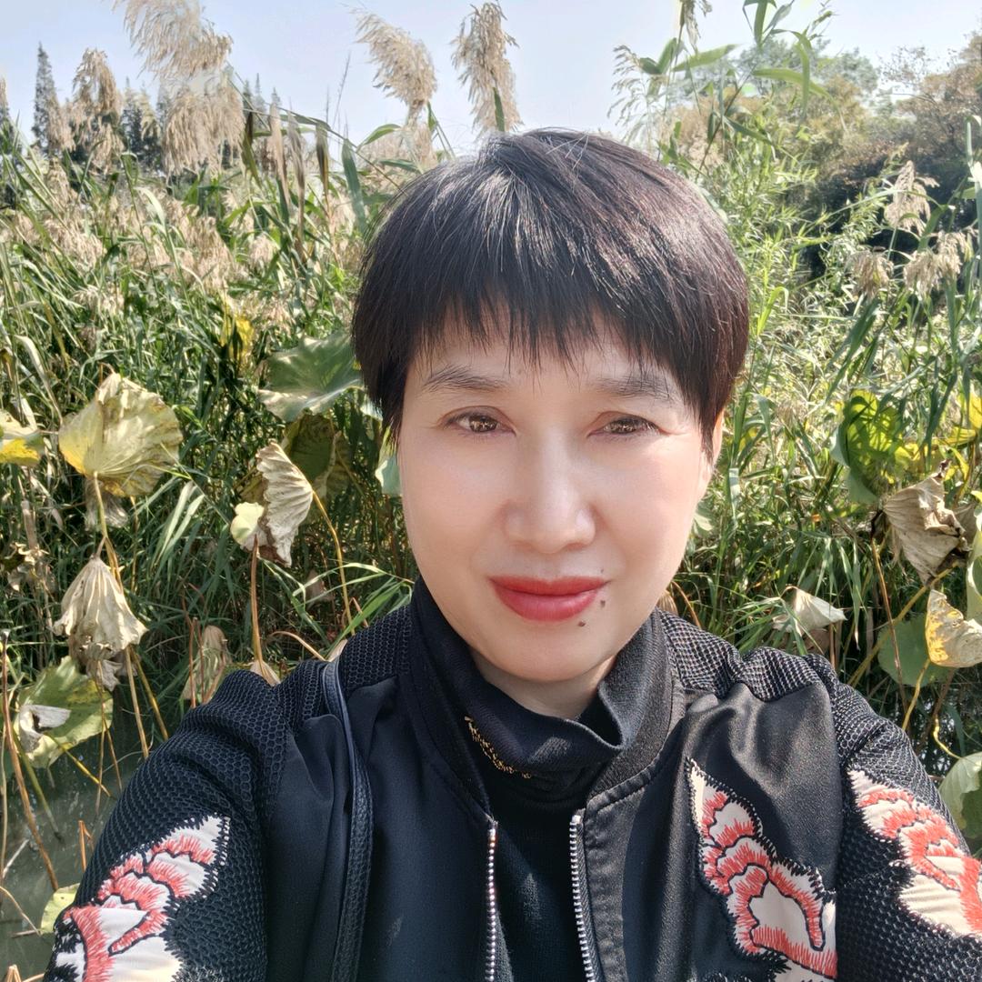 木于
