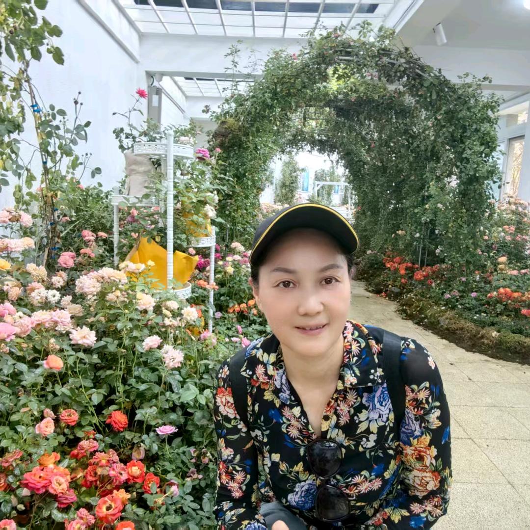 如姐（浙江桐乡正宗杭白菊胎菊）