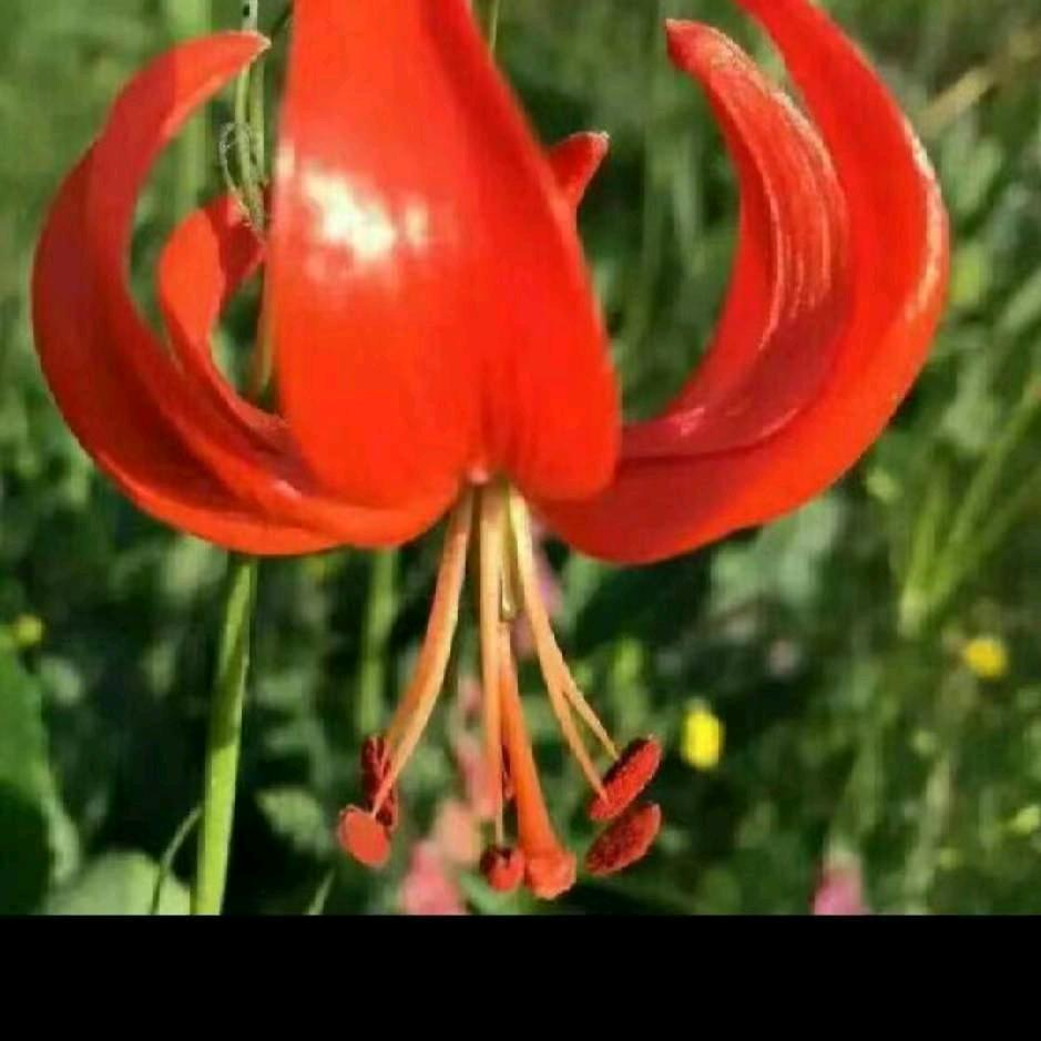 天行键，君子以自强不息