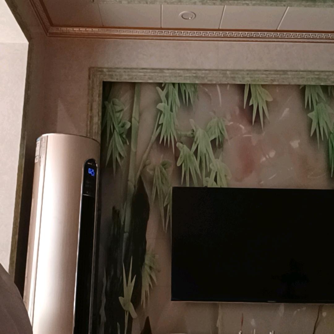 助力3号开播号在主页