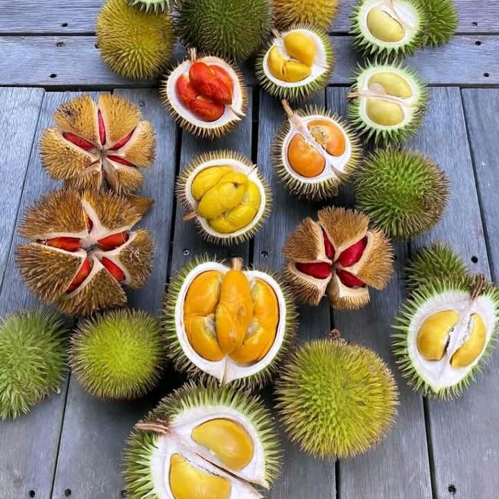 大德贸易