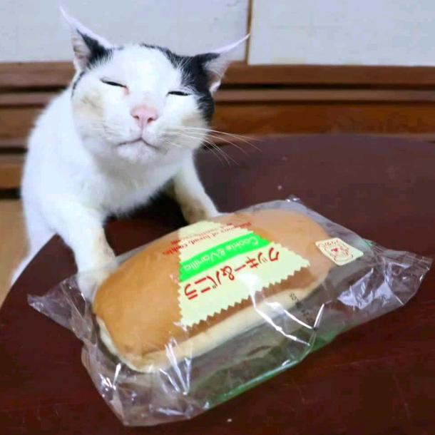 佐高皖腾