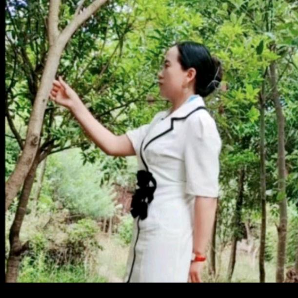 慧