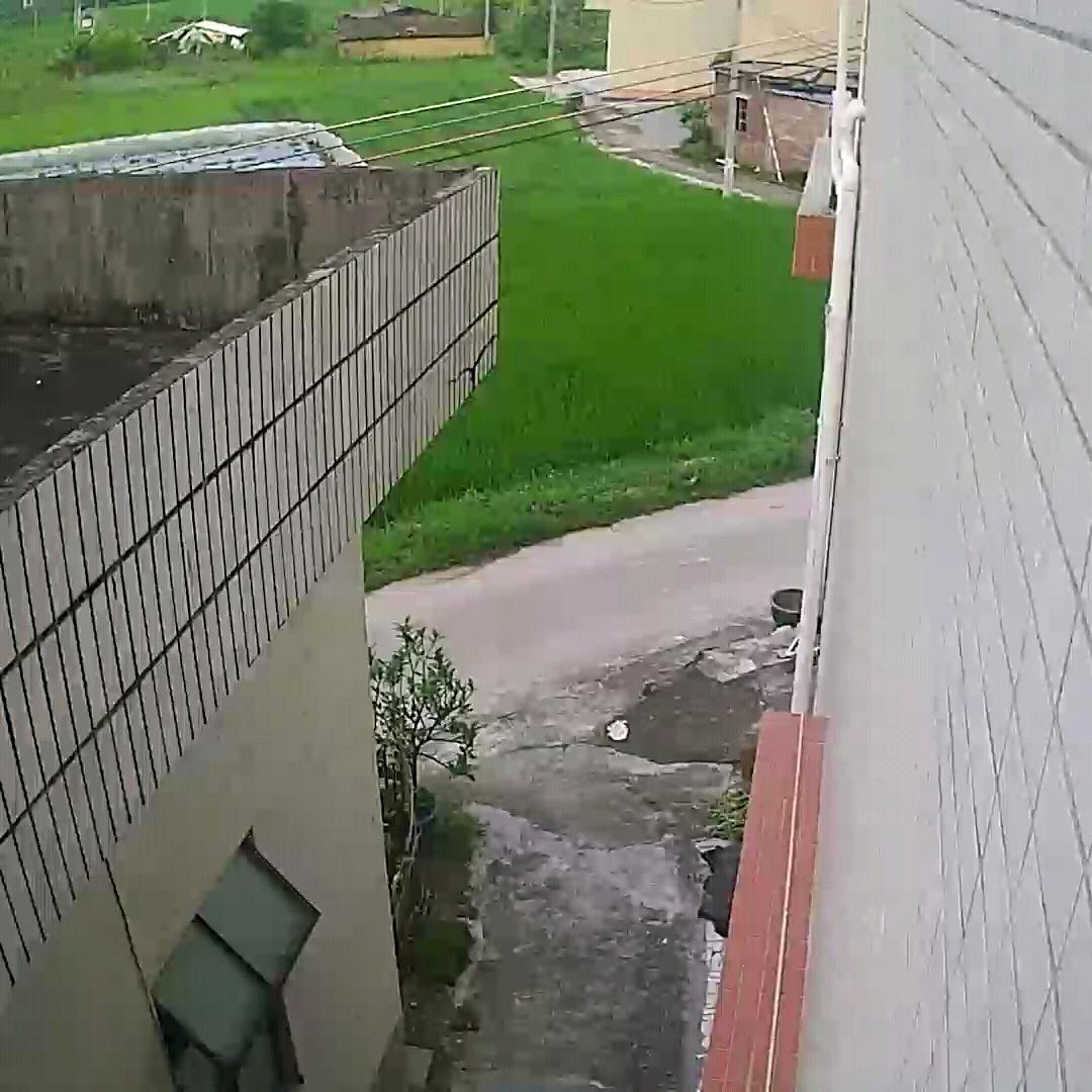 独角兽🦄