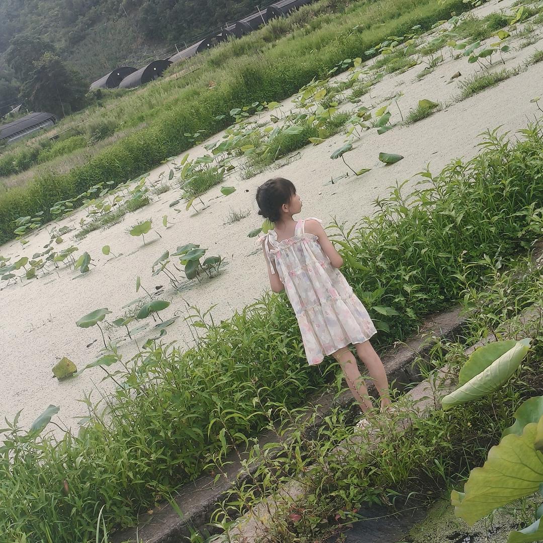 不黎不弃🌸