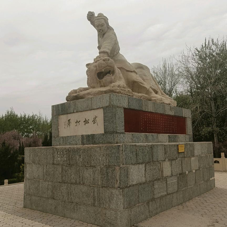 时转运来