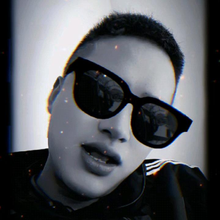 大伟花店，绿植.盆景~蝴蝶兰