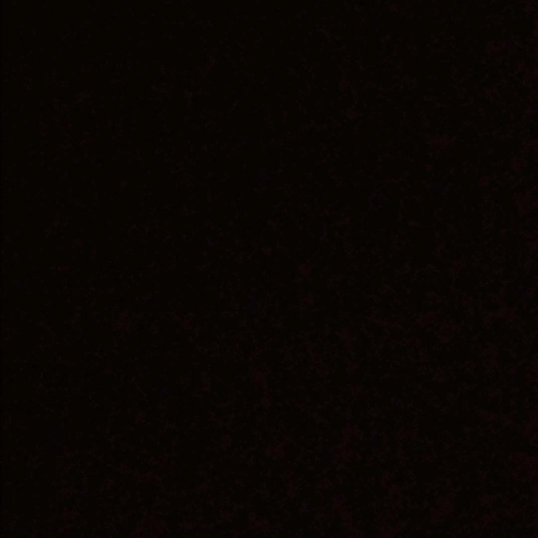 提提