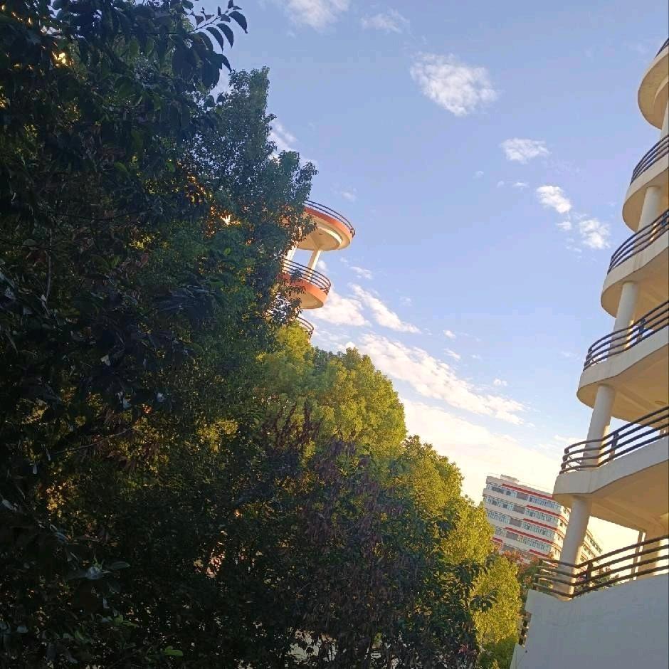 (๑╹ヮ╹๑)ﾉ