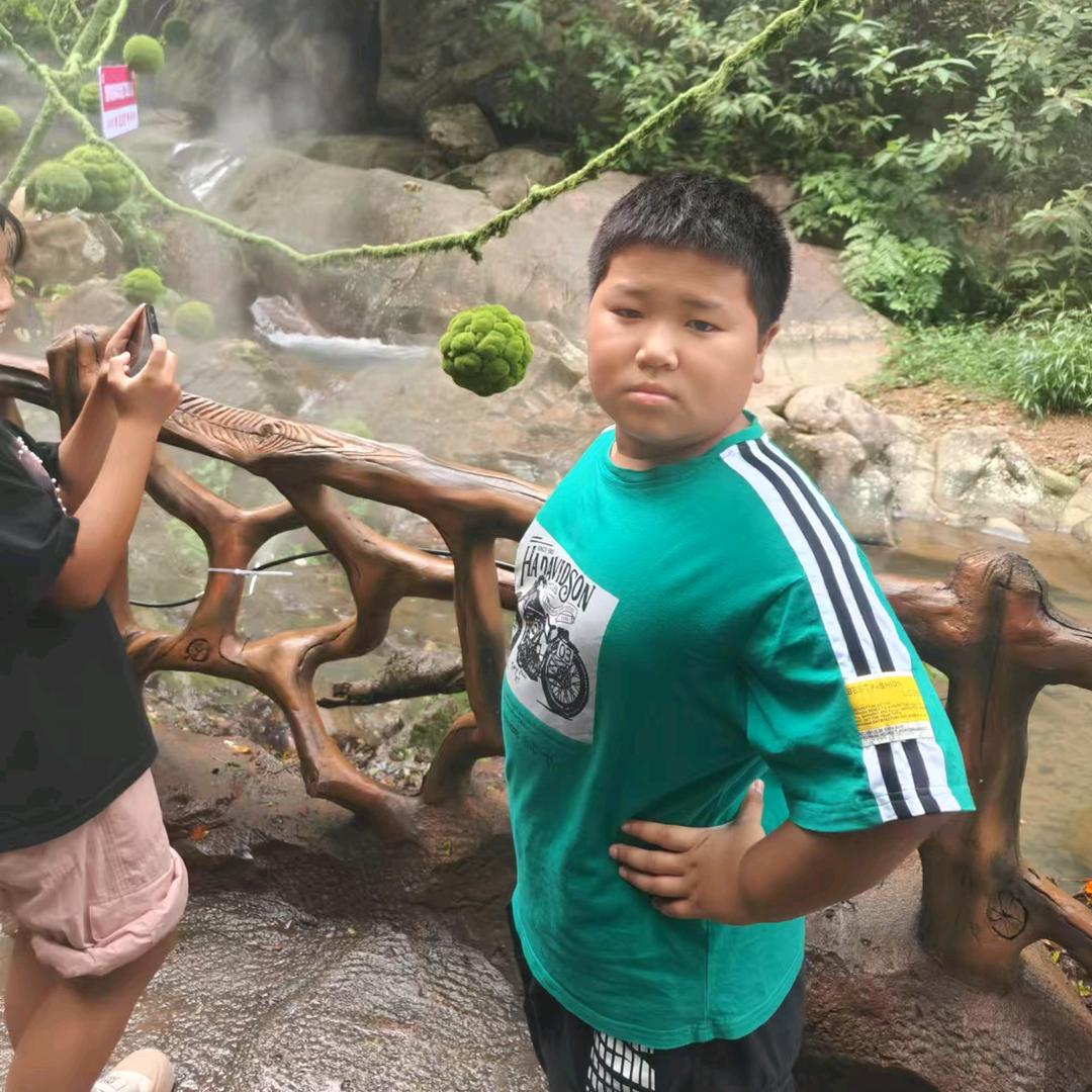 葉葉。独行天下