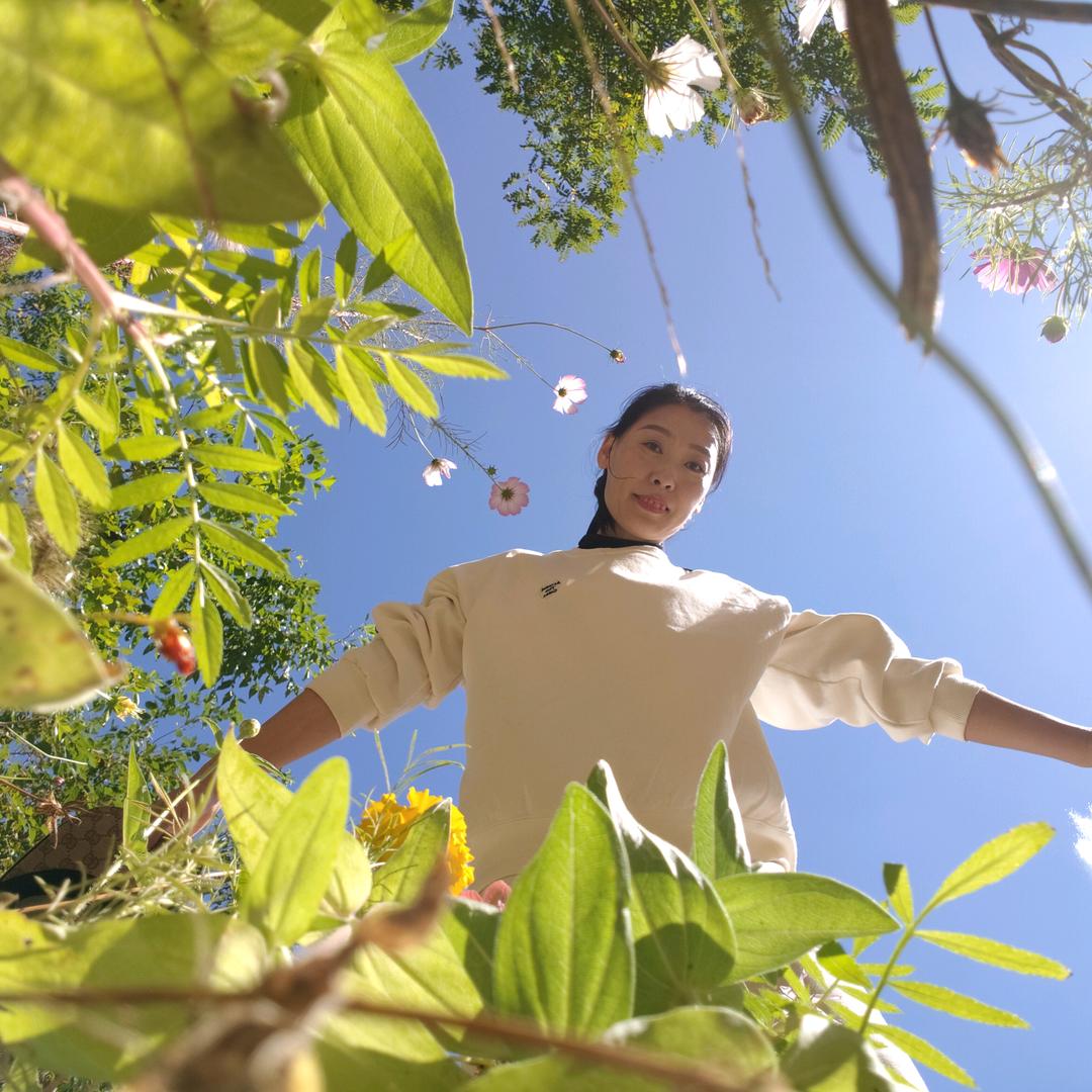 🌹叶子姐姐🌹