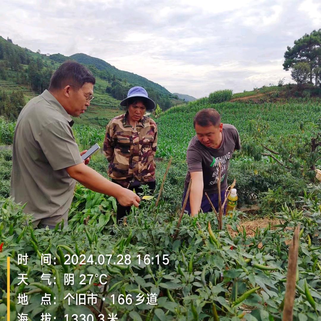关注卢老师种植不走弯路