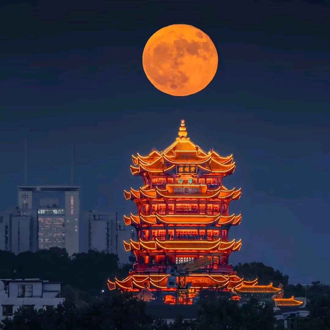 武汉酒店游玩盼盼