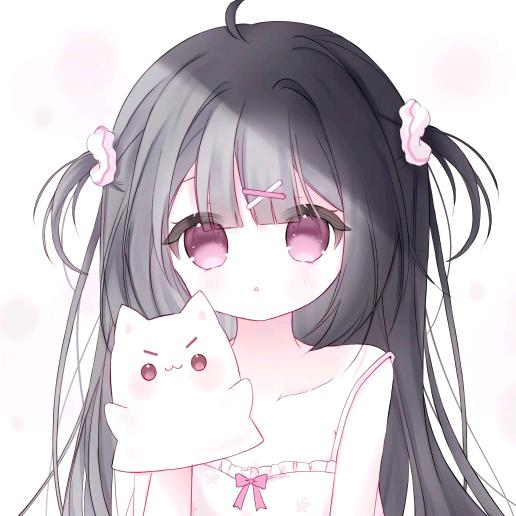 知岁
