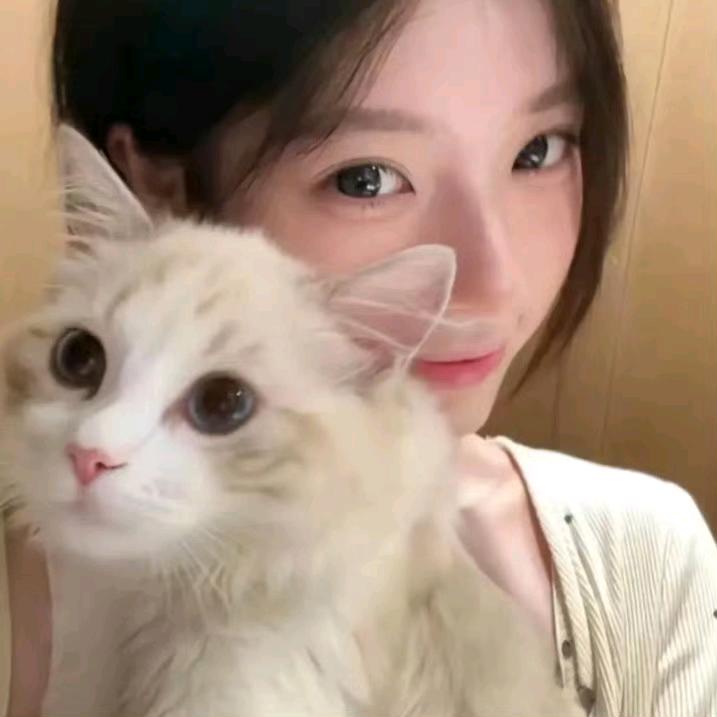 离落之境