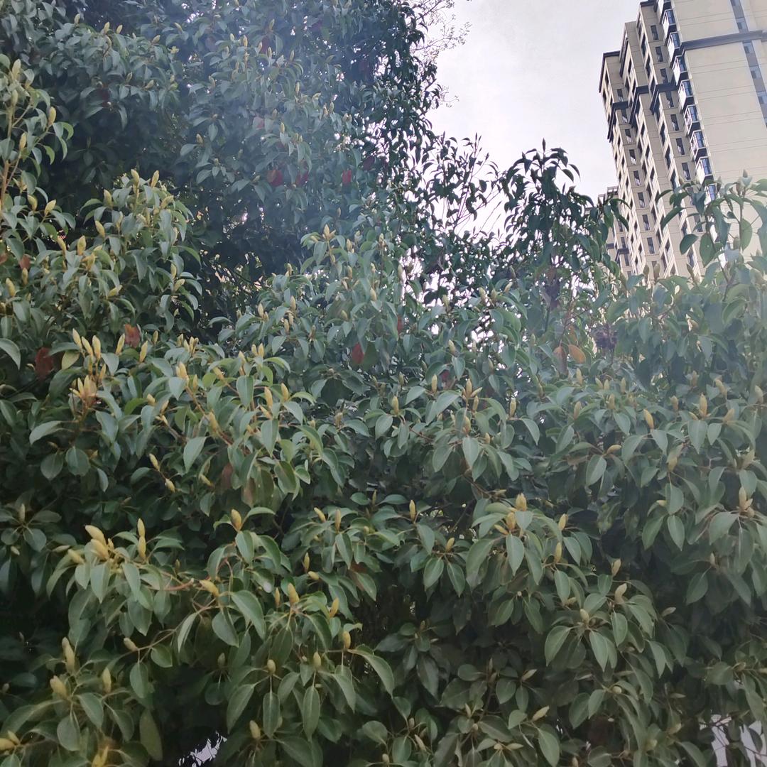 平舆混凝土销售，，与李相冯
