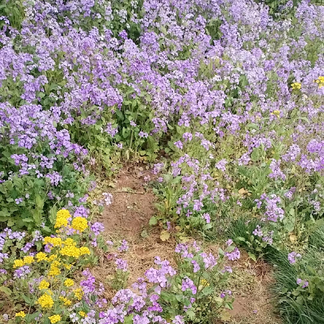 用户65428544565474