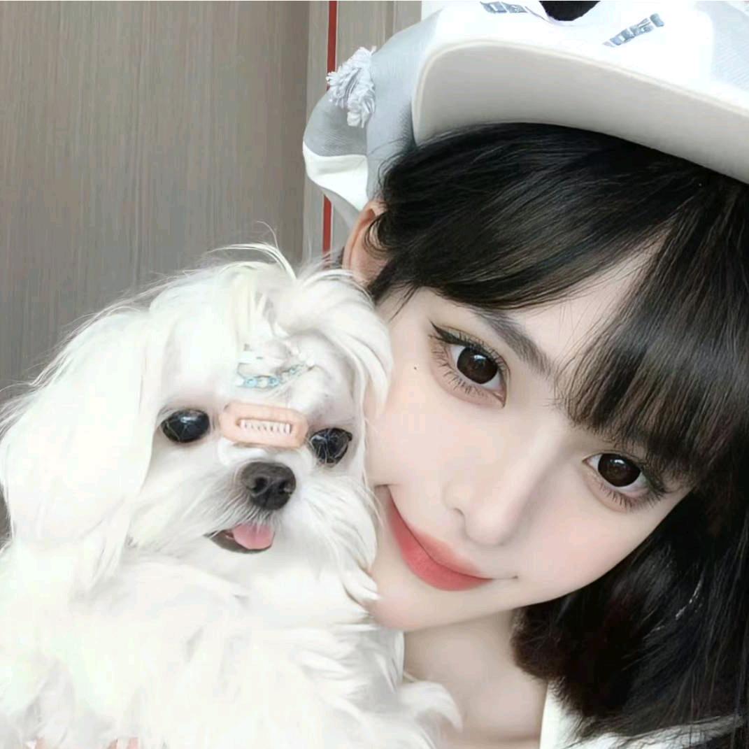 樱花.
