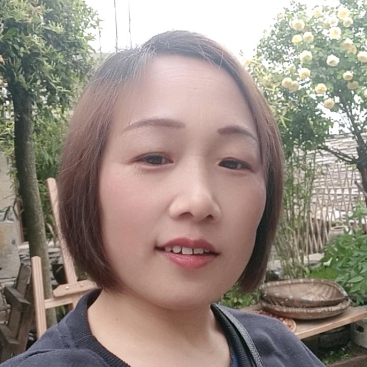 山东人在贵阳（红梅）