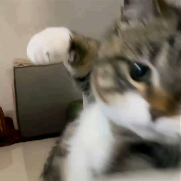 熙..